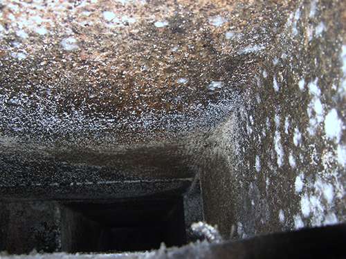 How do you get rid of mold in air ducts Effects Of Mold On Your Air Conditioner Easy Ac